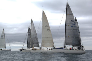 regata3